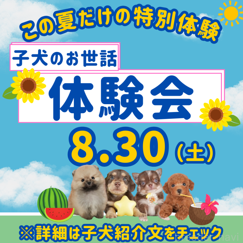 勝間大輝ブリーダーの詳細の1枚目